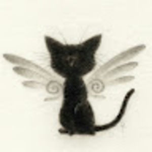 Meet your Posher, Callie